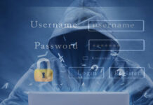 What are the Best Ways to Select a File Encryption Software for Windows